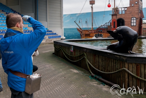 Dolfinarium Harderwijk | foto 4