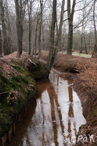 Gortelse bos en heide 2014 water, weerspiegeling, bomen, Niersenseweg, vierhouten | foto 2