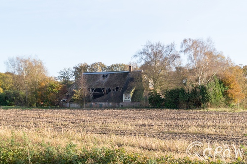 Herfst Twello (2014) ; Reuvekampseweg, boerderij, mais, maïs | foto 7
