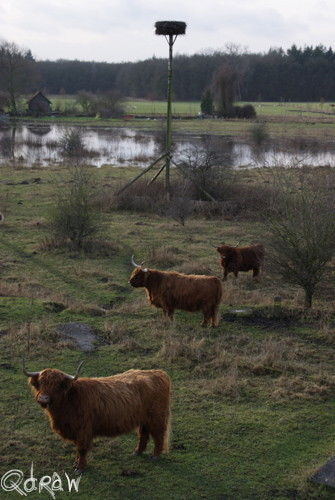 Hoogwater Fortmond