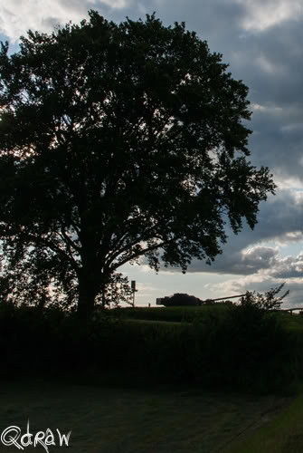 IJssellinie Olst Rondwandeling