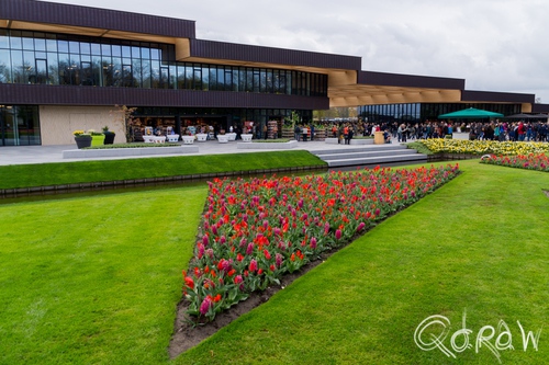 Keukenhof (2017) ; ingang, Keukenhof, Lisse, Holland, Tulpen, Tulip | foto 1