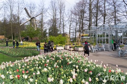 Keukenhof (2017) ; kas, molen, windmolen, Keukenhof, Lisse, Holland, Tulpen, Tulip | foto 3