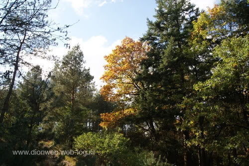 Kootwijk in de kleurrijke herfst