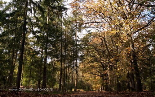 Kootwijk in de kleurrijke herfst