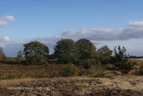 Kootwijk in de kleurrijke herfst