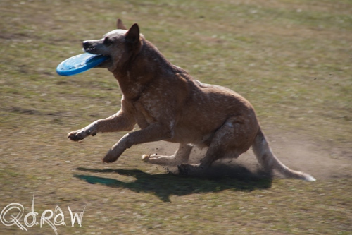 Lentefeest Oranjepark Apeldoorn 8 april 2013