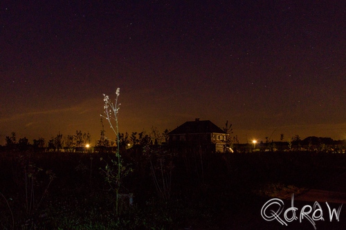 Nieuwbouw Twello (augustus 2014) ; Helmbloem, Aronskelk, Achter 't Holthuis, Twello, boom, nacht | foto 9