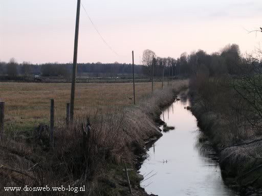 Een beekje met een vos