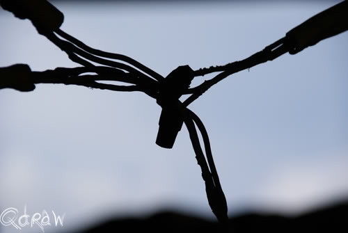 Radio Kootwijk (Hei&Kathedraal)