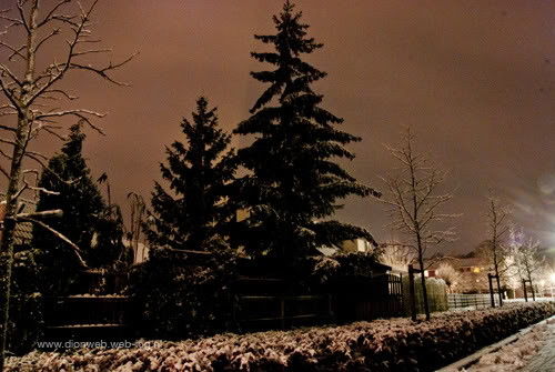 Sneeuw zorgt voor plezier en chagrijn