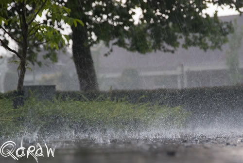 Twello, It's raining cats and dogs