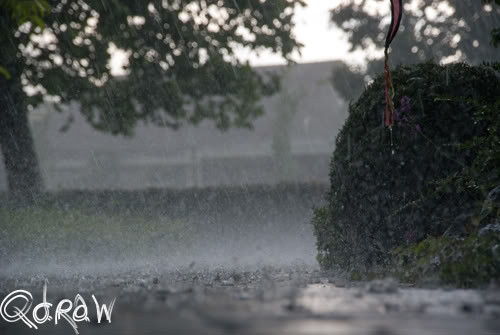 Twello, It's raining cats and dogs