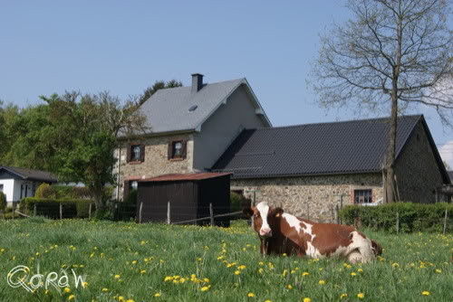 Vakantie 2011 Weywertz Belgie