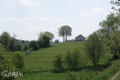 Vakantie 2011 Weywertz Belgie