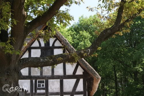 Vakantie 2011 Weywertz Belgie