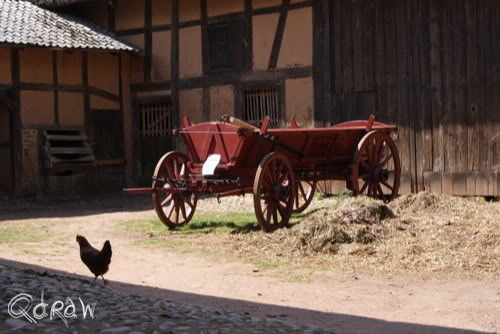 Vakantie 2011 Weywertz Belgie