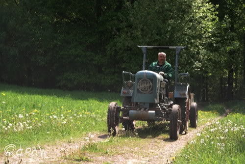 Vakantie 2011 Weywertz Belgie