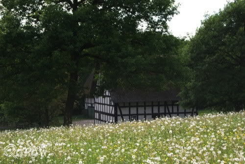 Vakantie 2011 Weywertz Belgie