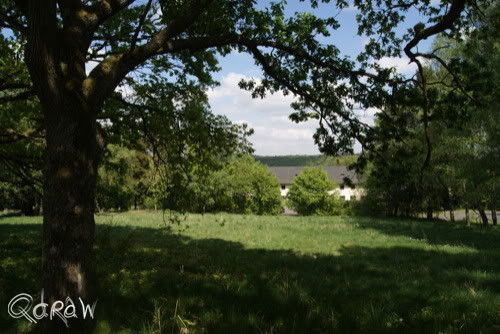 Vakantie 2011 Weywertz Belgie