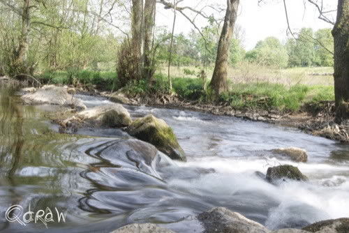 Vakantie 2011 Weywertz Belgie