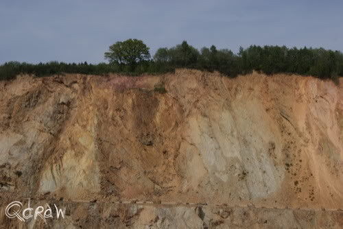 Vakantie 2011 Weywertz Belgie