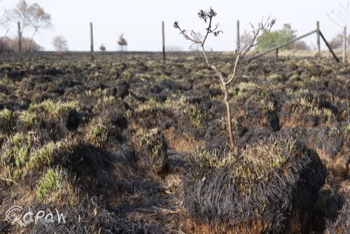 Vakantie 2011 Weywertz Belgie