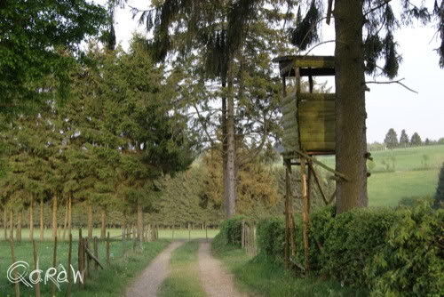 Vakantie 2011 Weywertz Belgie