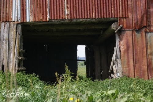 Vakantie 2011 Weywertz Belgie