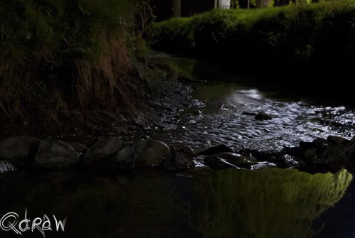 water Vresse bij bruggetje | Vakantie Vresse sur Semois