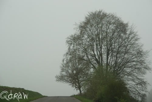 Mist | Vakantie Vresse sur Semois