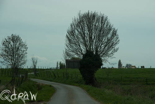 Vakantie Beveren (Alveringem) in de Belgische Westhoek
