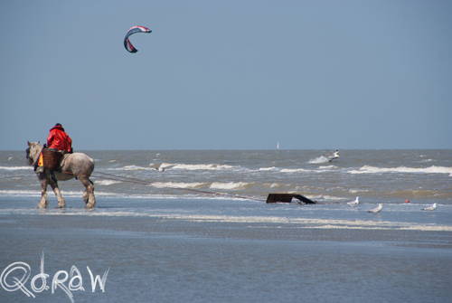 Vakantie Beveren (Alveringem) in de Belgische Westhoek