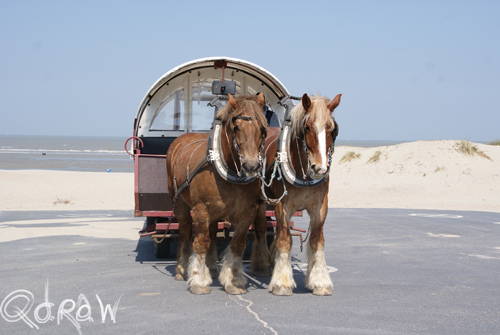 Vakantie Beveren (Alveringem) in de Belgische Westhoek