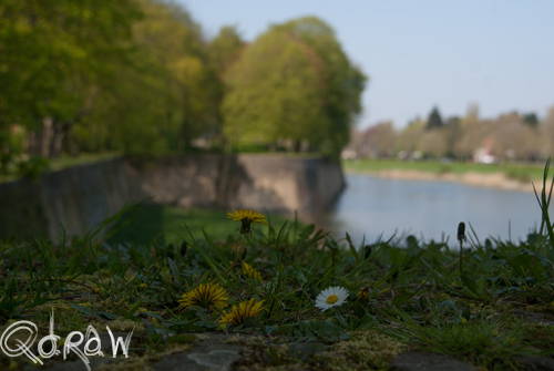 Vakantie Beveren (Alveringem) in de Belgische Westhoek