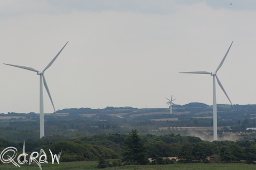 Vakantie Sejerslev (Mors) in het Deense Limfjorden-gebied