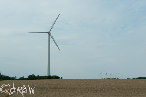 Vakantie Sejerslev (Mors) in het Deense Limfjorden-gebied