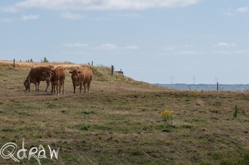 Vakantie Sejerslev (Mors) in het Deense Limfjorden-gebied