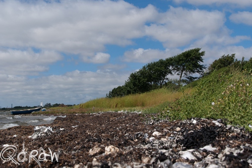 Vakantie Sejerslev (Mors) in het Deense Limfjorden-gebied
