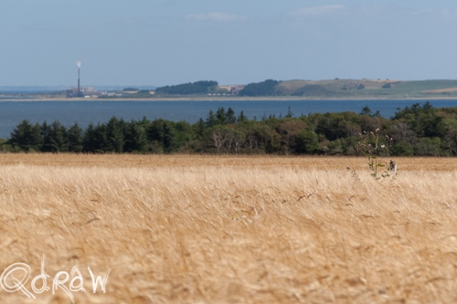 Vakantie Sejerslev (Mors) in het Deense Limfjorden-gebied