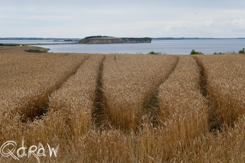 Vakantie Sejerslev (Mors) in het Deense Limfjorden-gebied