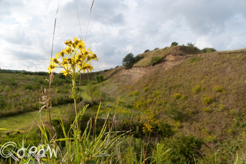 Vakantie Sejerslev (Mors) in het Deense Limfjorden-gebied