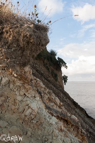 Vakantie Sejerslev (Mors) in het Deense Limfjorden-gebied