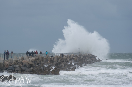 Vakantie Sejerslev (Mors) in het Deense Limfjorden-gebied