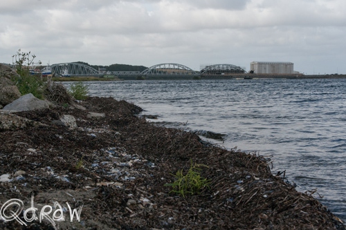 Vakantie Sejerslev (Mors) in het Deense Limfjorden-gebied