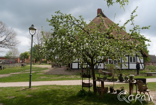 Vakantie Blankenhagen (Duitsland) mei 2014 appel, vakwerkhuis, bloesem | foto 16