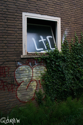 Veluwscollege Twello en het Veilingterrein (juli 2013)