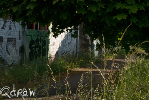 Veluwscollege Twello en het Veilingterrein (juli 2013)