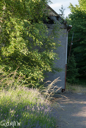 Veluwscollege Twello en het Veilingterrein (juli 2013)