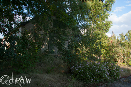 Veluwscollege Twello en het Veilingterrein (juli 2013)